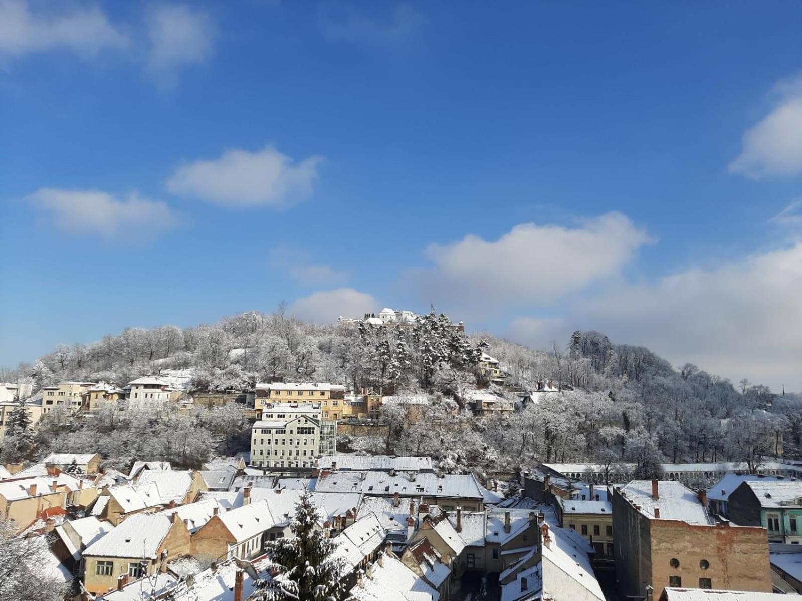 Alba Brasov