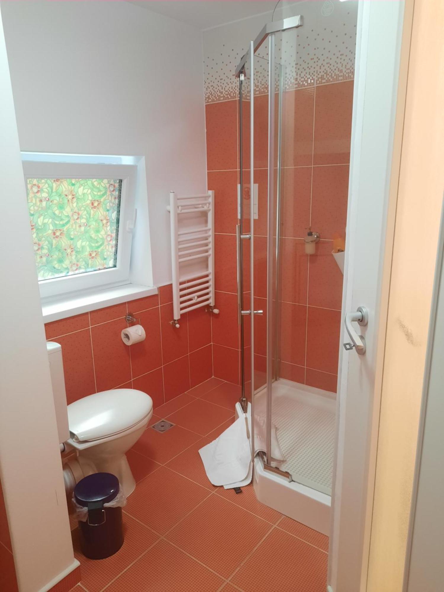 Guest house Alba 3*